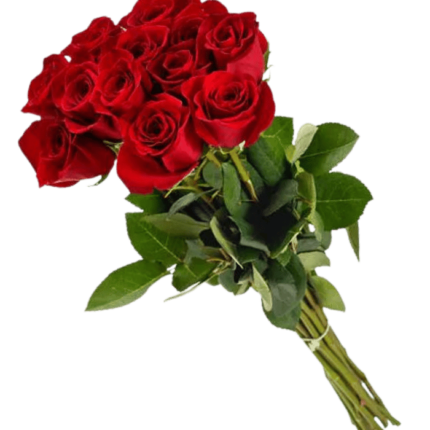 Red Roses Bunch