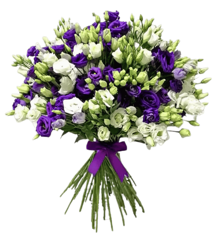 Autumn-1.png Autumn - Image 1