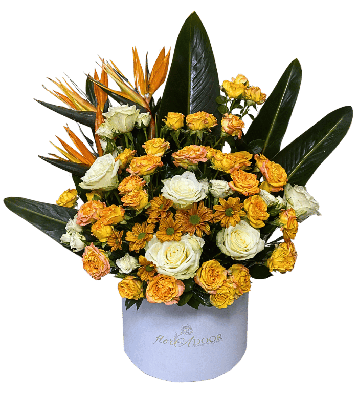 Birds-of-Paradise-1.png Birds of Paradise - Image 1