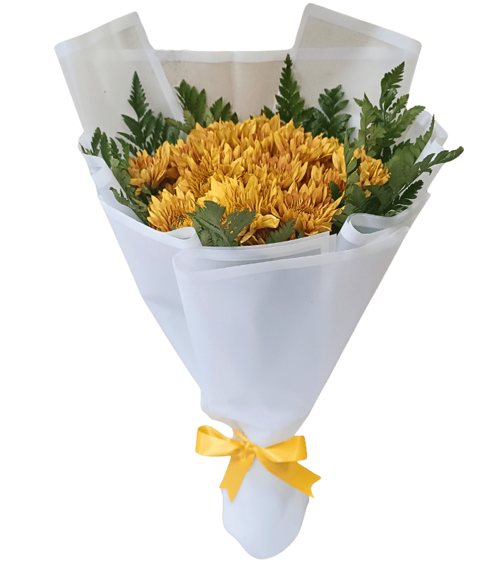 Blaze.png Blaze - Image 1