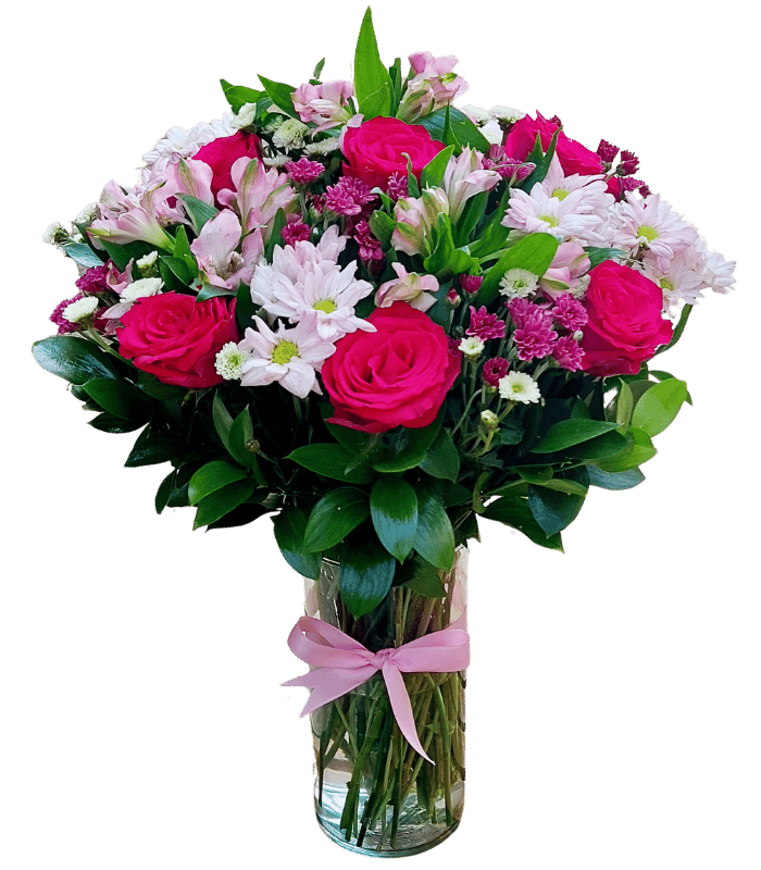 Cerise-1.png Cerise - Image 1