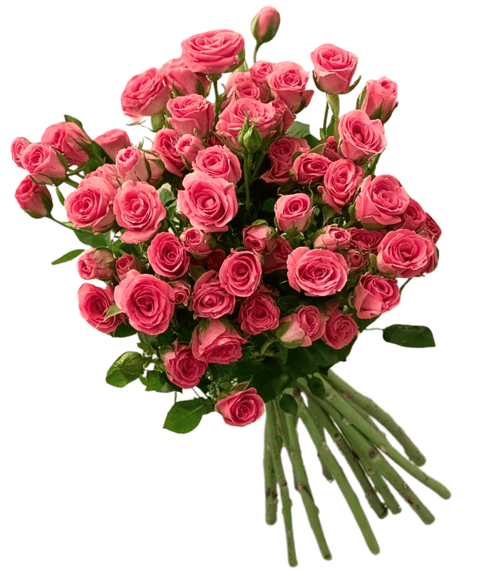 Dark-Pink-Spray-1.png Dark Pink Spray - Image 1