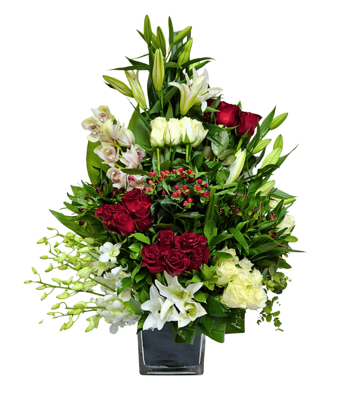 Elegant-Red-1.png Elegant Red - Image 1