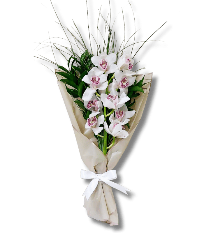 Orchid-White.png Orchid White - Image 1