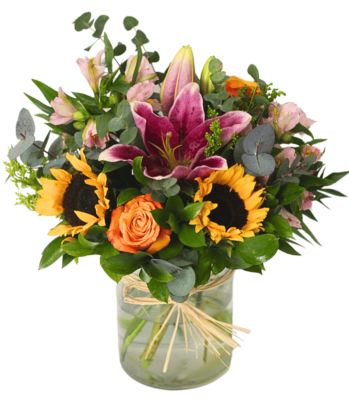 Palermo.png Palermo - Image 1