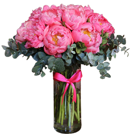Peonies-removebg-preview.png Peonies - Image 1