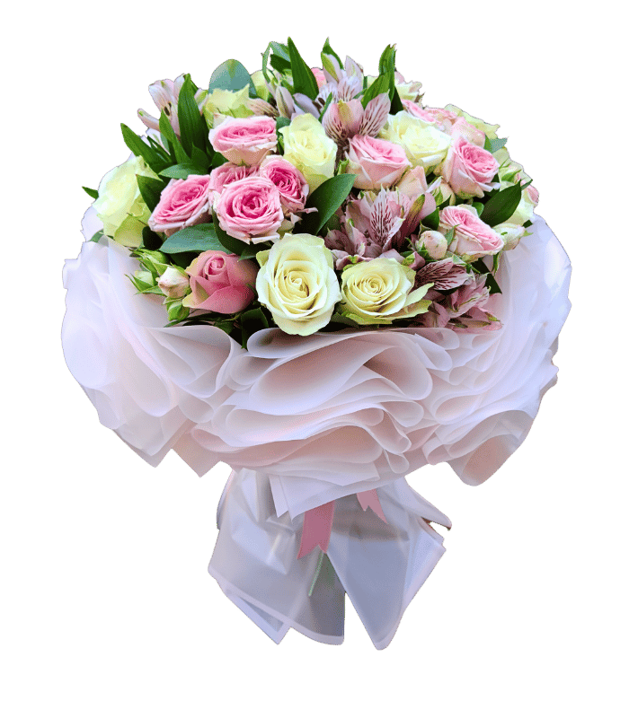 Pink-Marshmallow-1.png Pink Marshmallow - Image 1