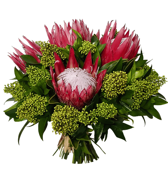 Queen-of-Red.png Queen of Red - Image 1