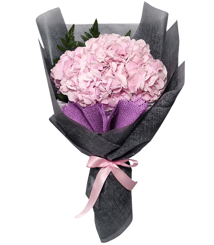 Taffy.png Taffy - Image 1