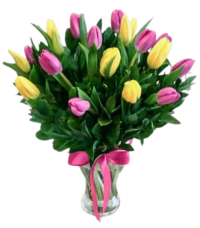 Tulips-1.png Tulips 1 - Image 1
