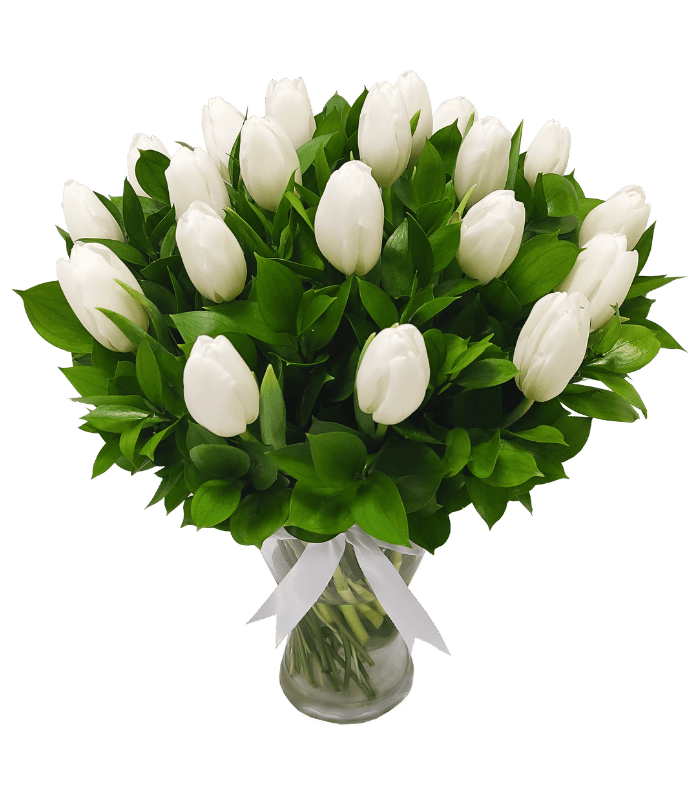 Tulips-White.png Tulips White - Image 1